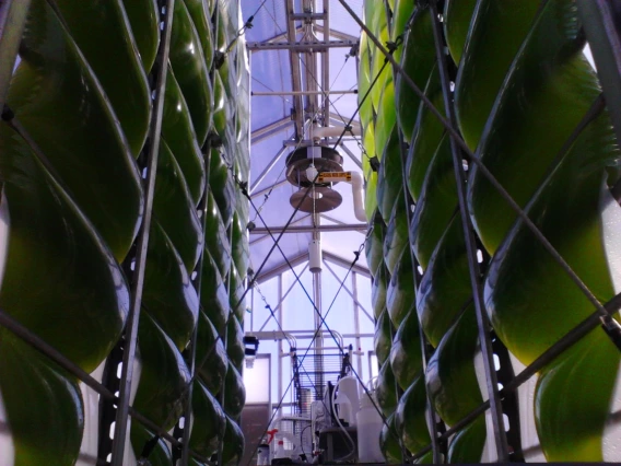 A photograph of the air accordion bioreactor