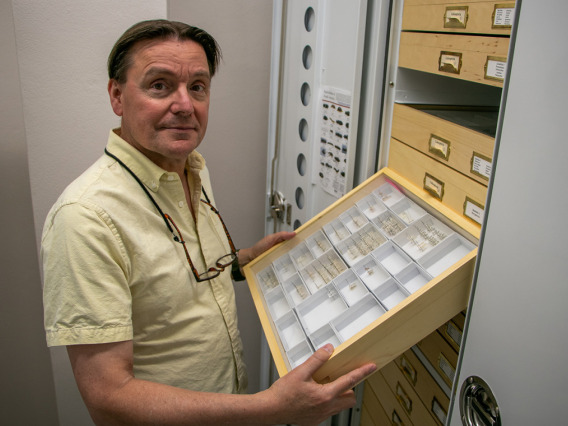 Gene Hall posing in front of the UArizona Insect Collection 