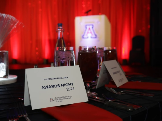 Table setting with stage background