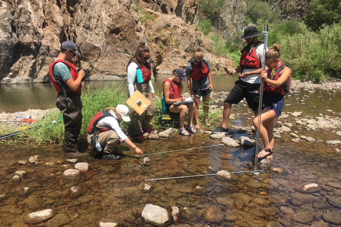 students working in the field