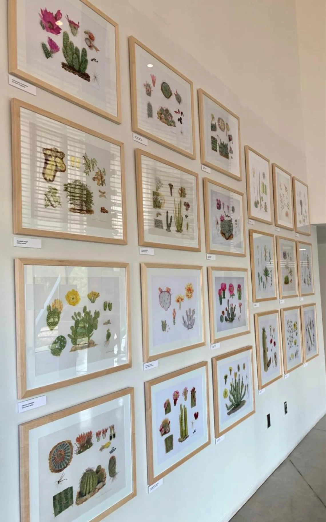 Florilegium Exhibit