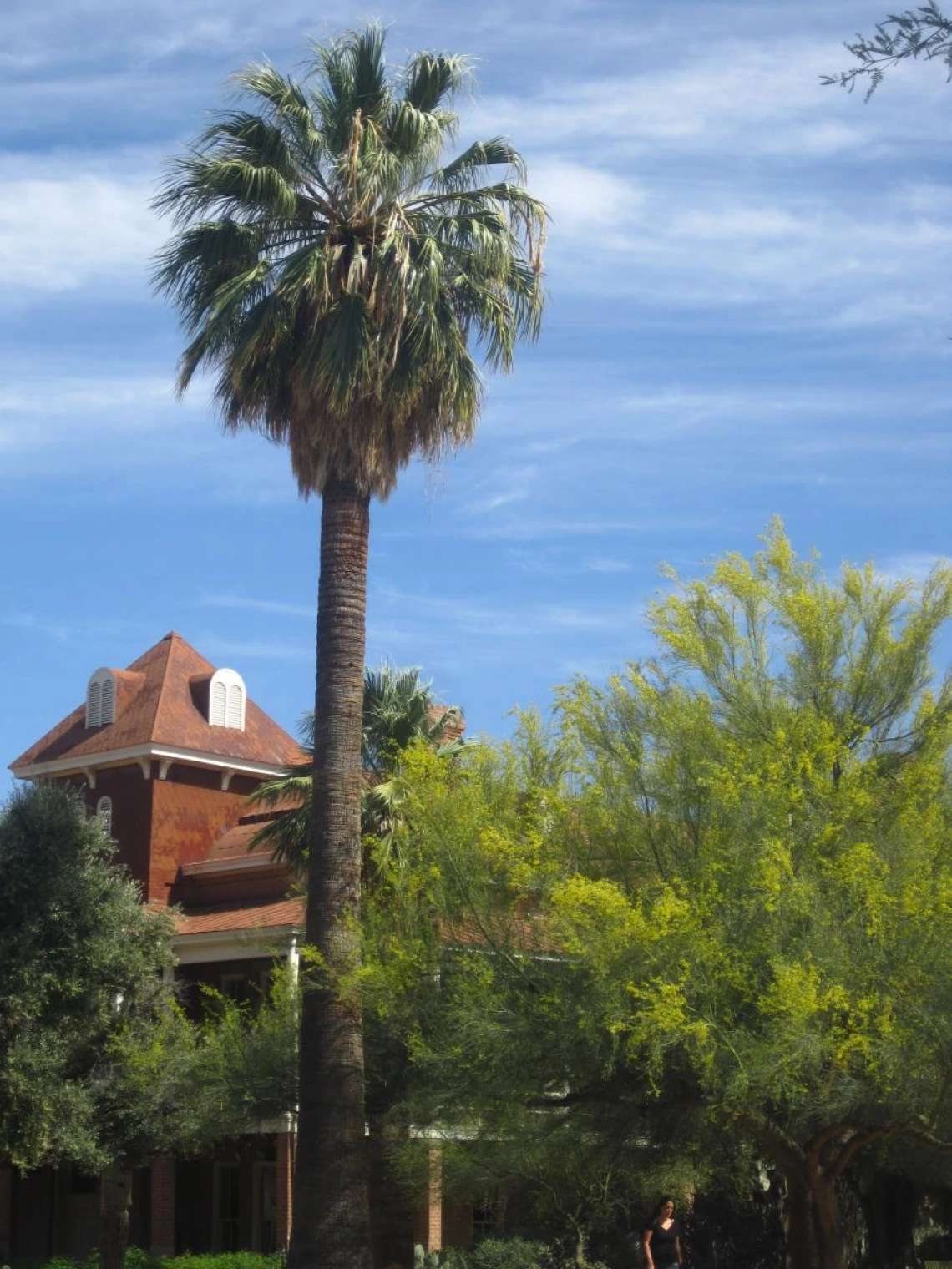 Old Main
