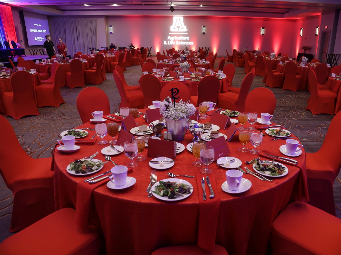 Venue & table set up (2).jpg