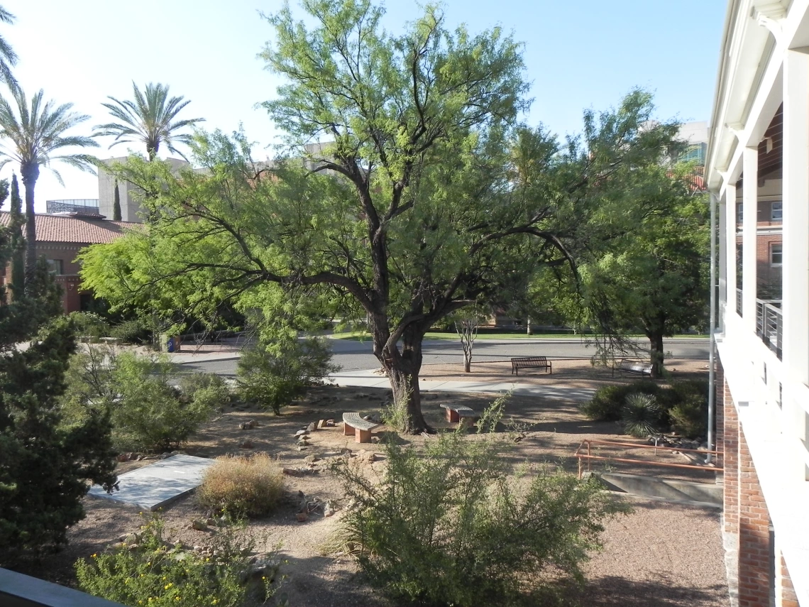 Campus Arboretum Photo