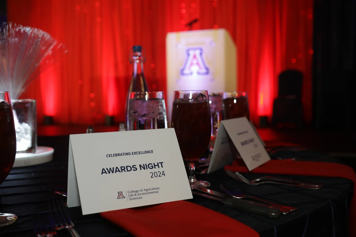 Table setting with stage background