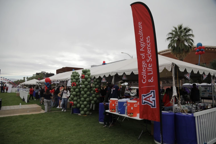 tailgate 1