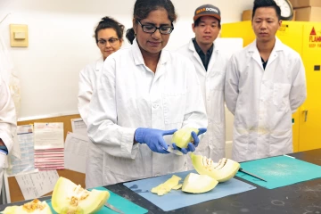 Sadhana Ravishankar works with melon in her lab at the University of Arizona School of Animal and Comparative Biomedical Sciences