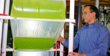 Professor Joel Cuello fine tunes the Accordion photobioreactor at the UA Campus Agricultural Center.