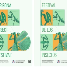 Insect Festival